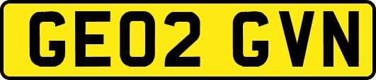 GE02GVN