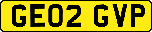 GE02GVP