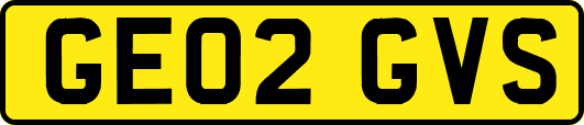GE02GVS