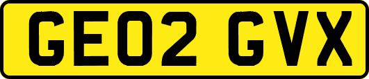 GE02GVX