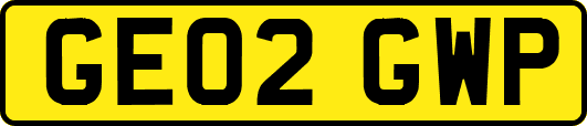 GE02GWP
