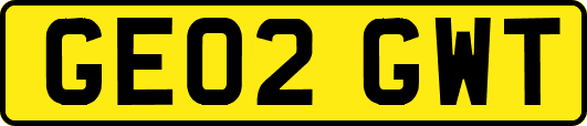 GE02GWT