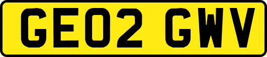 GE02GWV