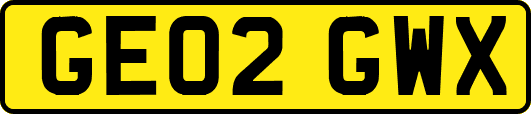GE02GWX