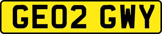 GE02GWY