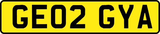 GE02GYA