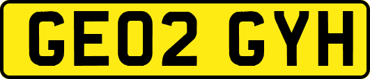 GE02GYH
