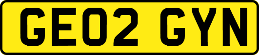GE02GYN