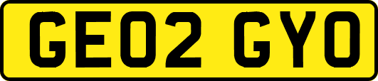 GE02GYO