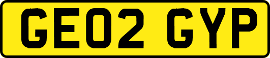 GE02GYP