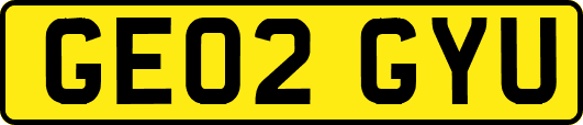 GE02GYU