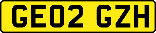 GE02GZH