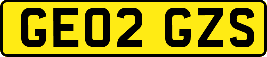 GE02GZS