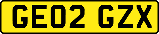 GE02GZX