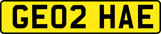 GE02HAE