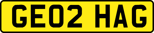 GE02HAG