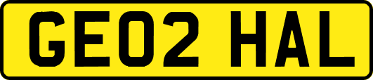 GE02HAL