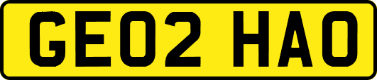 GE02HAO
