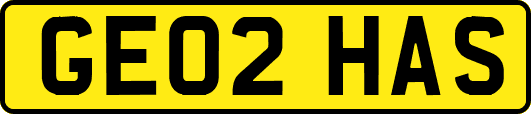 GE02HAS