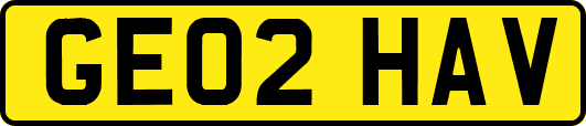 GE02HAV