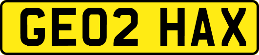 GE02HAX