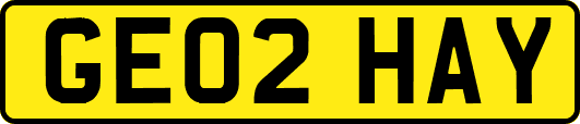 GE02HAY