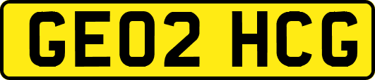 GE02HCG