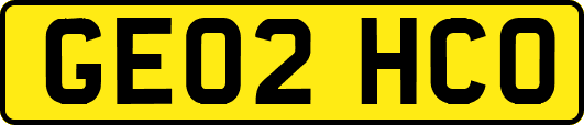 GE02HCO
