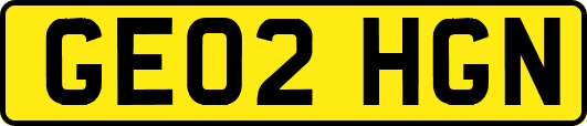 GE02HGN