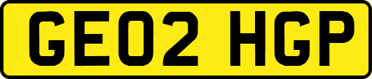 GE02HGP