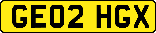 GE02HGX