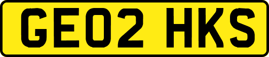 GE02HKS