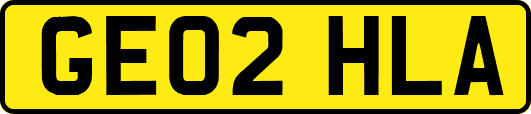 GE02HLA