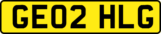 GE02HLG