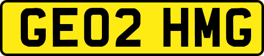 GE02HMG