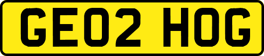 GE02HOG
