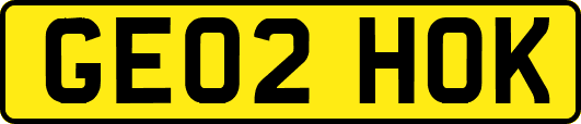 GE02HOK