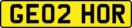GE02HOR