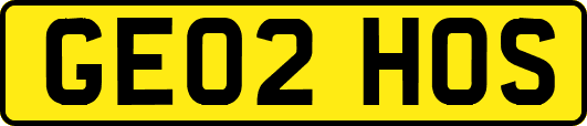 GE02HOS