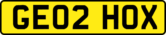 GE02HOX