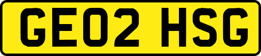 GE02HSG