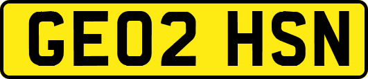 GE02HSN