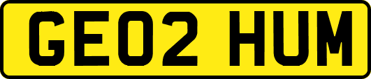 GE02HUM