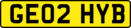 GE02HYB
