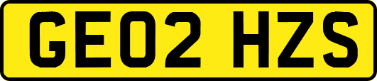 GE02HZS