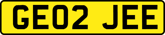 GE02JEE