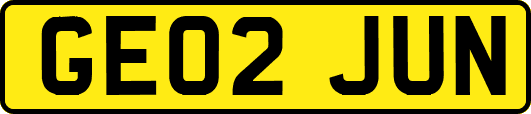 GE02JUN