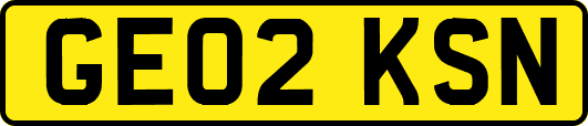 GE02KSN