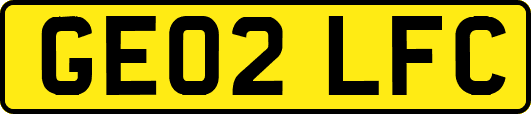 GE02LFC