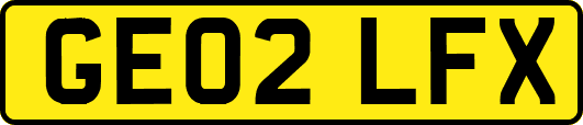 GE02LFX